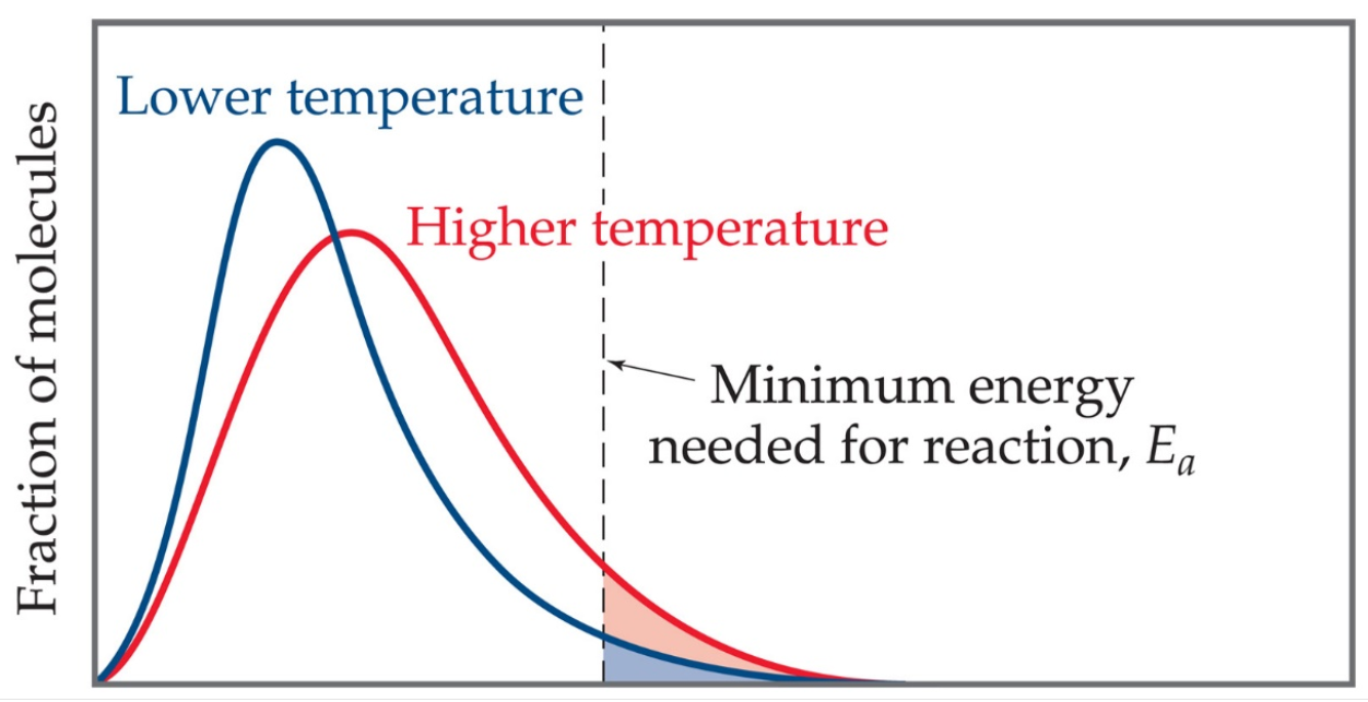 Factors Affecting The Rate Of A Reaction Temperature W3schools