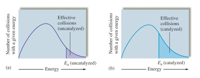 Factors Affecting The Rate Of A Reaction Catalyst W3schools 6076