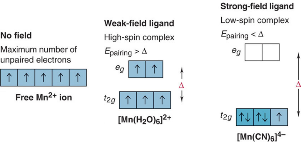 Magnetic Properties Of D And F Block Elements - W3schools