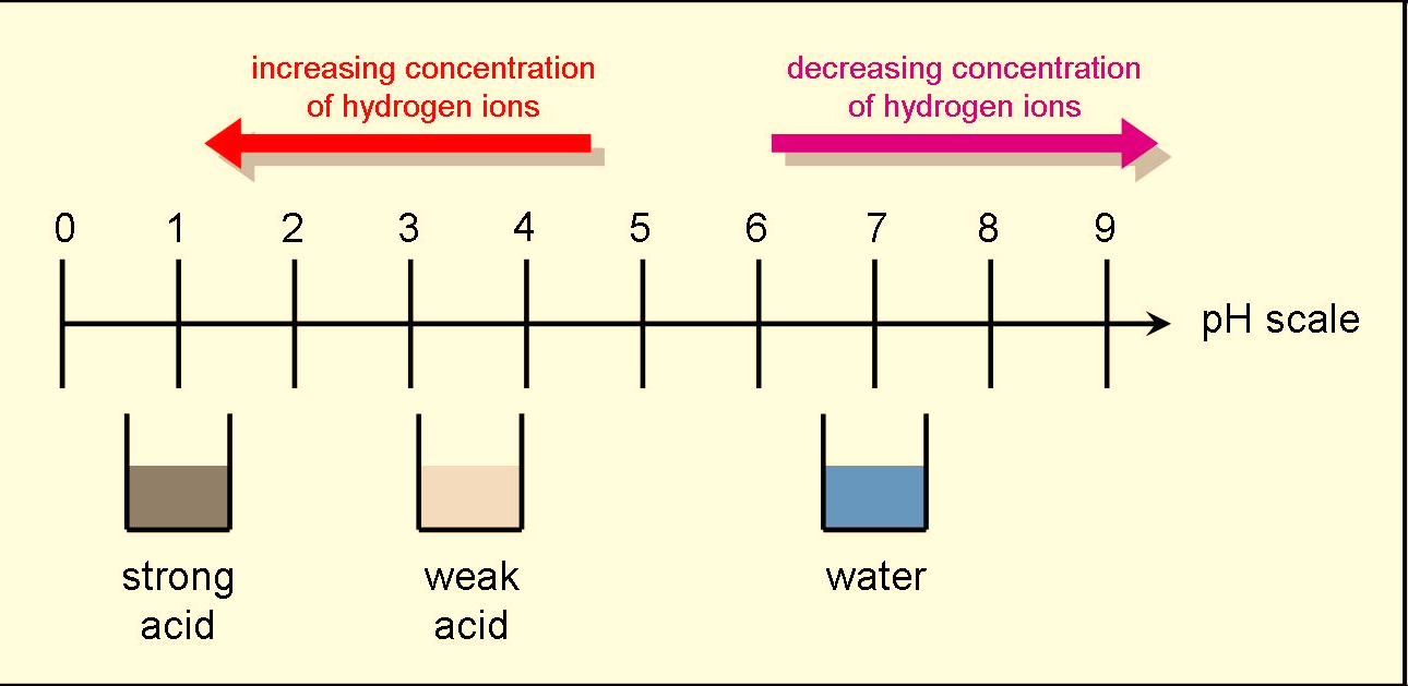 Concept Of PH W3schools