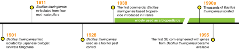 Genetically Modified Organisms - Bt Crops - W3schools